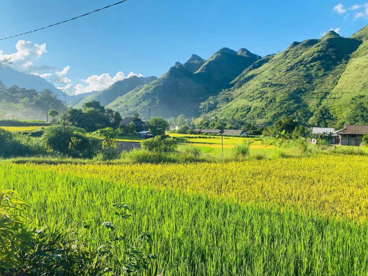 Du Gia Field View Homestay