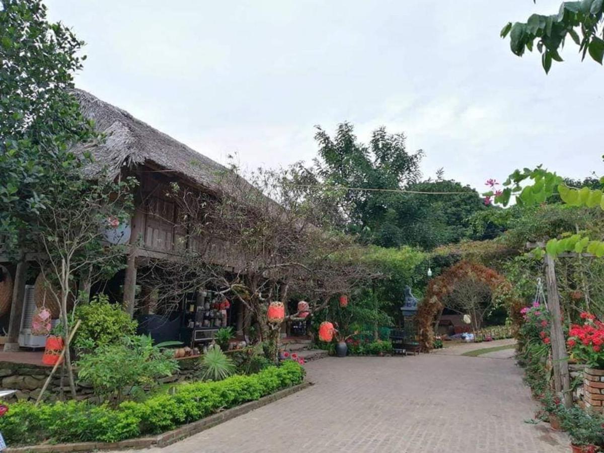 Hoa Mai Viên Sóc Sơn - Venue Travel