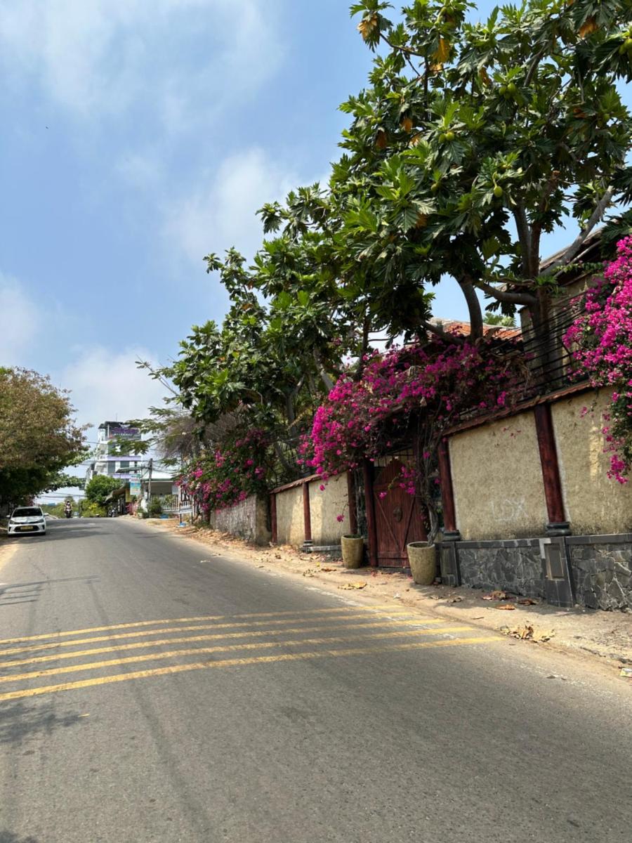 Homestay baybi - mũi né