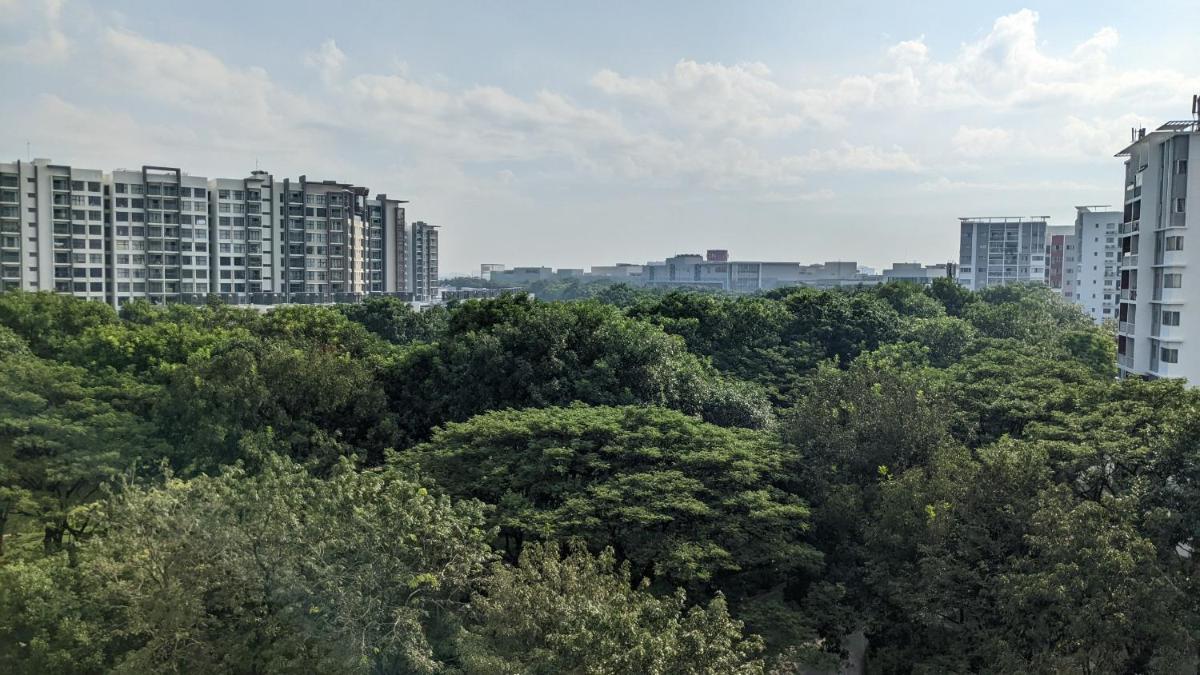 Mộc Homestay