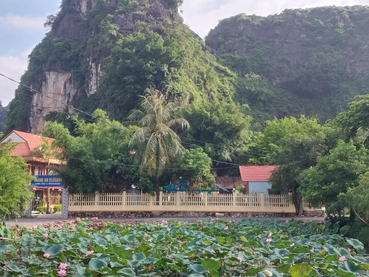 Trang An Elegant Homestay